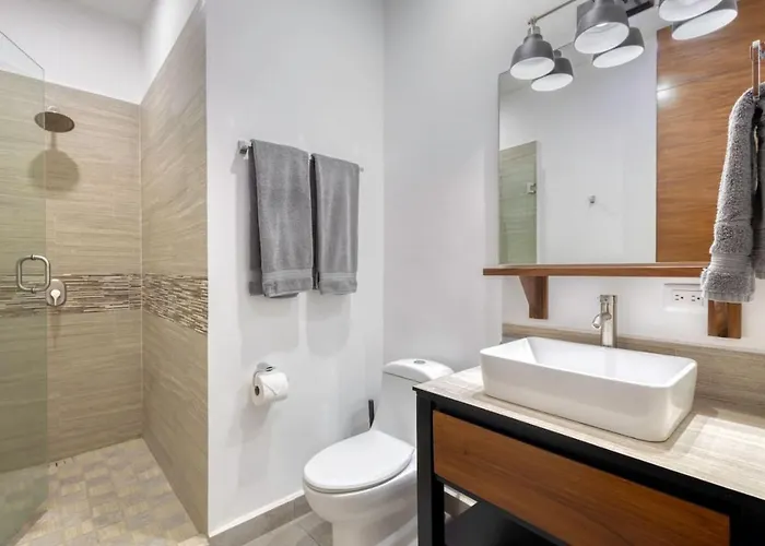 Beautiful And Elegant Apt, Near Downtown Apartment